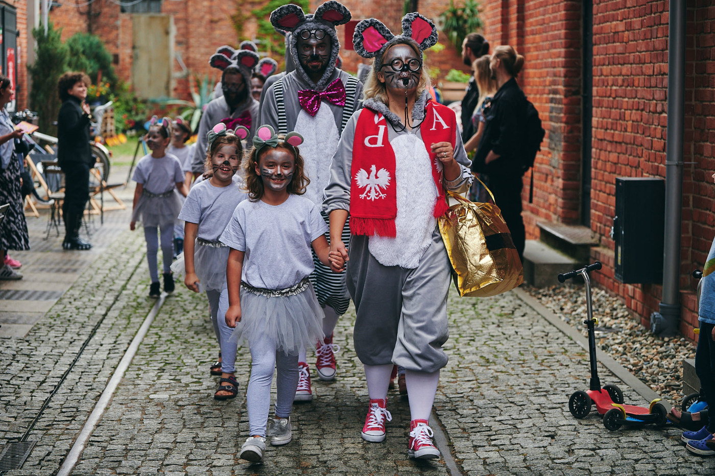 241053746 1538542439846623 6774437052013288241 n