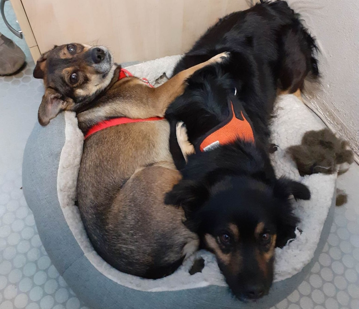 279599746 1064617154433816 433692777094833660 n