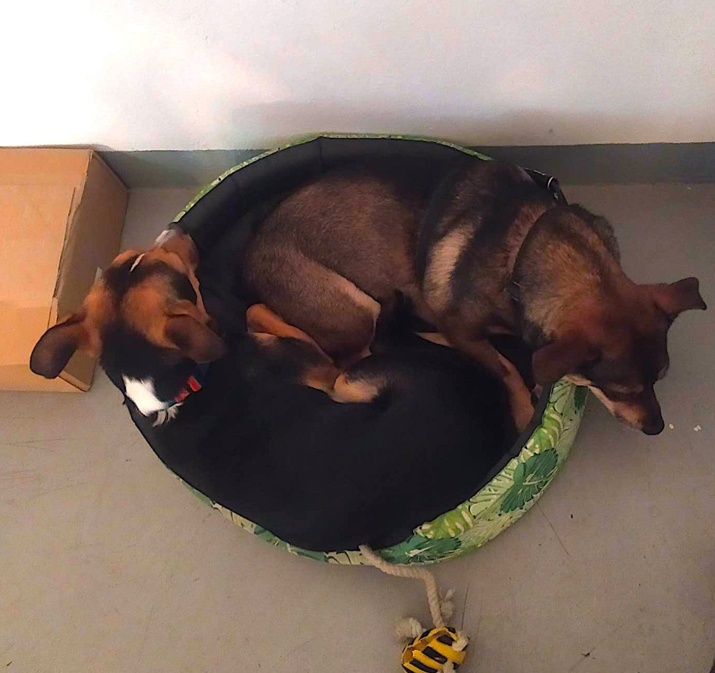 318981327 748376366807164 5375777556196080993 n