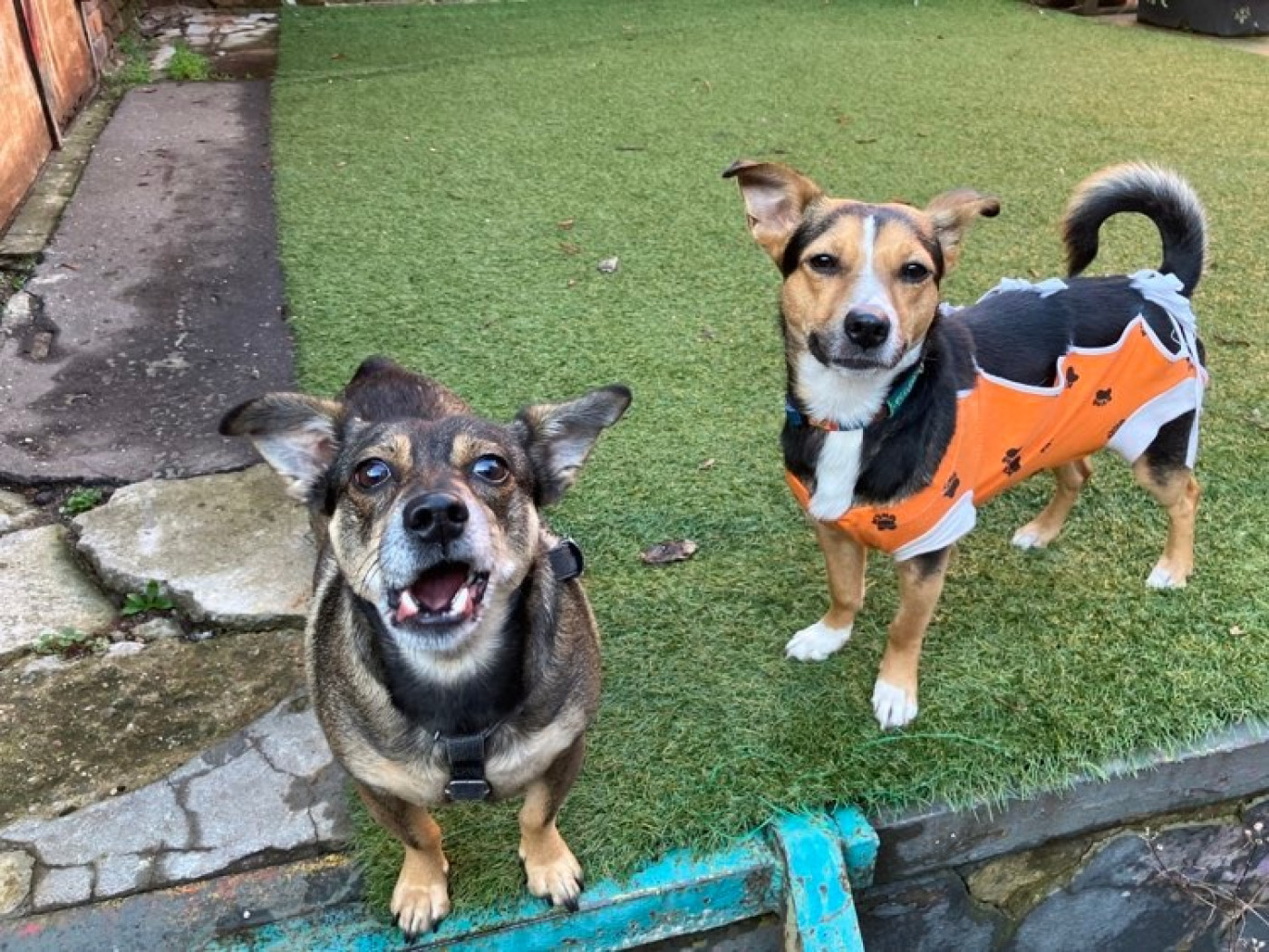 325170768 879294103121443 5565529737461056140 n