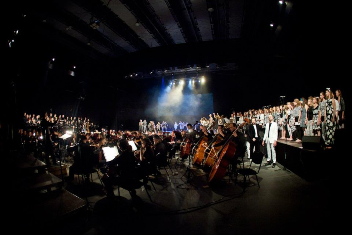 377001 206484792766782 292138226 n