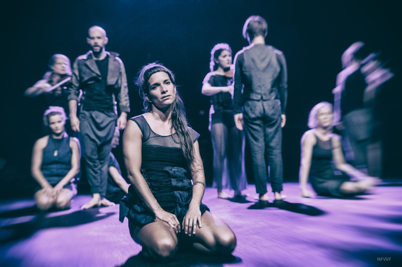 40027562 709716776062531 4653291203414982656 n