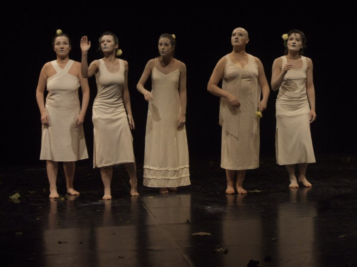 434071623 1595264337973652 6922352237762912209 n