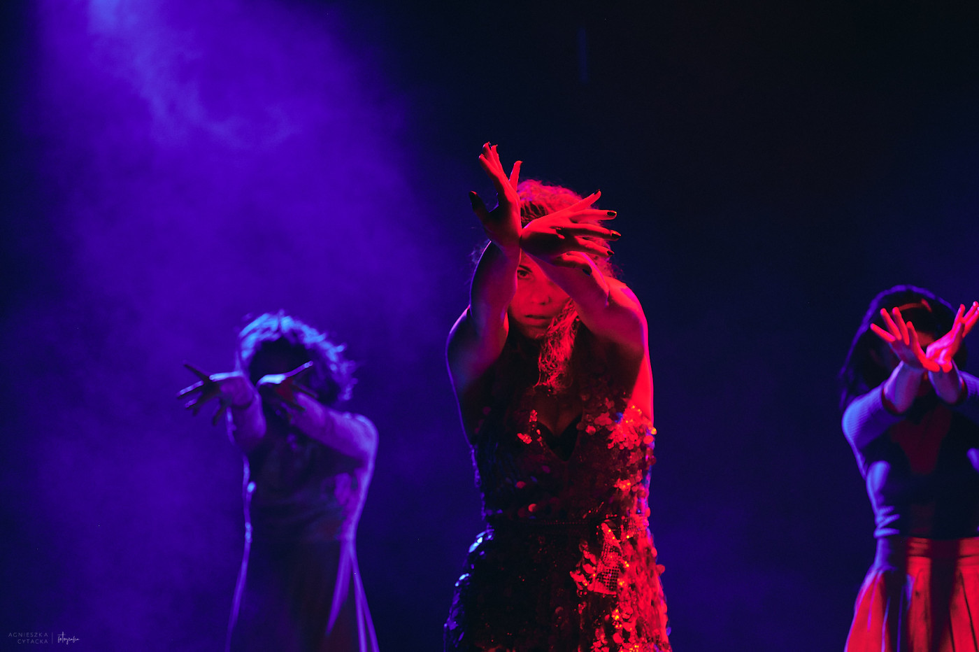 ksiezniczki @agnieszka cytacka (76)