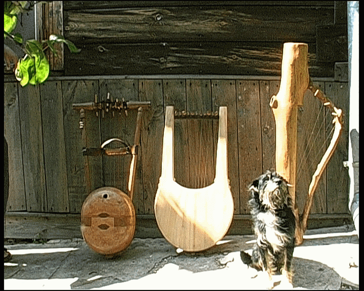 lira, forminga i harfa i Zenon