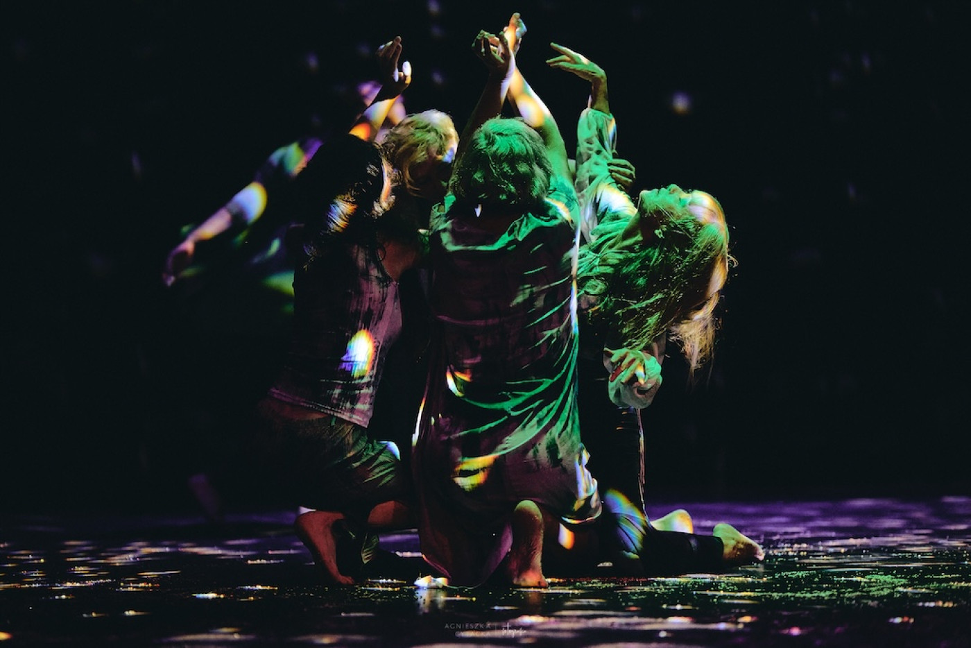 retroperspektywy 2024, fot. agnieszka cytacka, ACF 0748