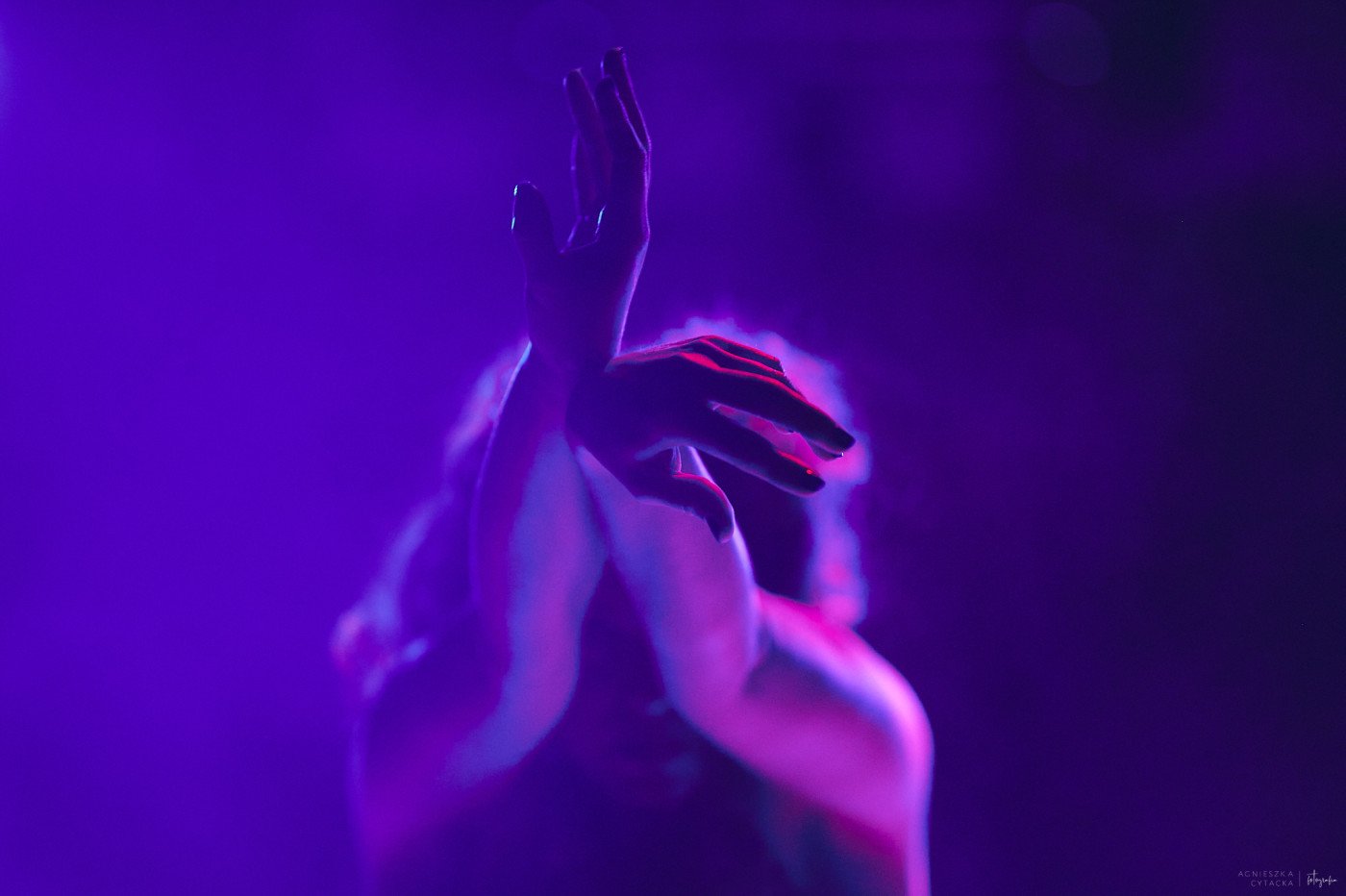 retroperspektywy, księżniczki, 25.08.2021, fot. agnieszka cytacka (6)