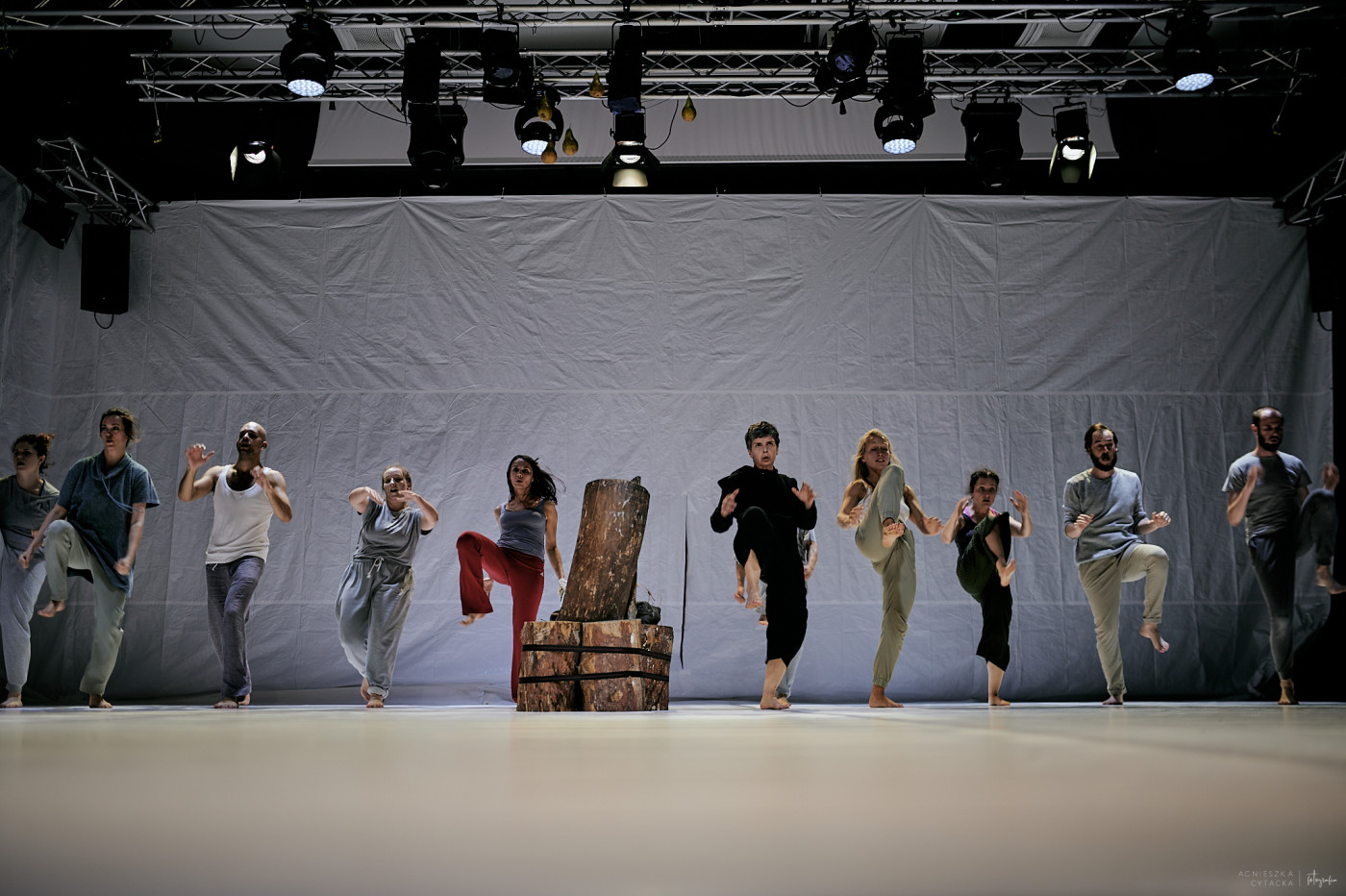 retroperspektywy, śmierć na gruszy, fot. agnieszka cytacka (1)