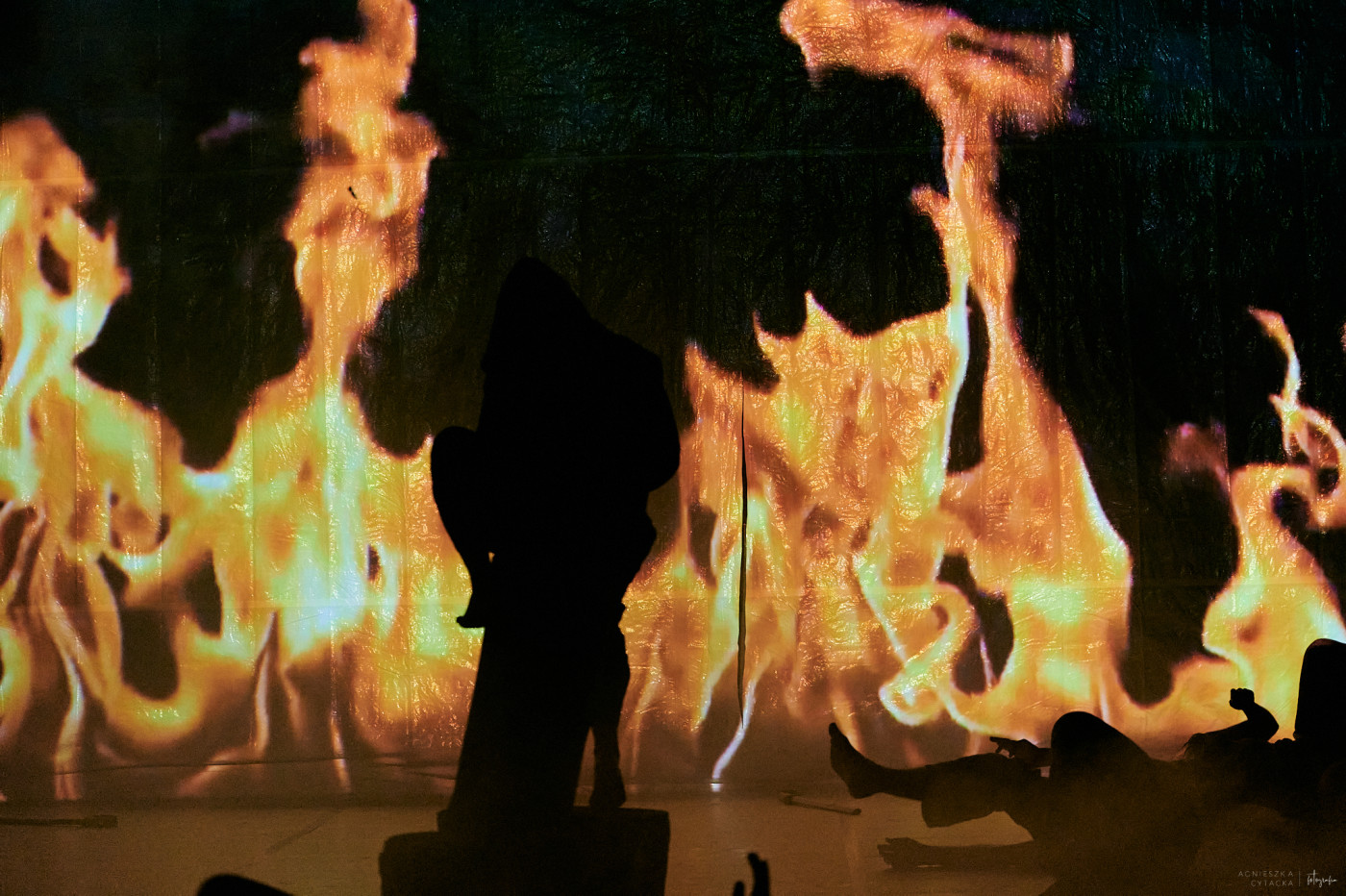 retroperspektywy, śmierć na gruszy, fot. agnieszka cytacka (120)