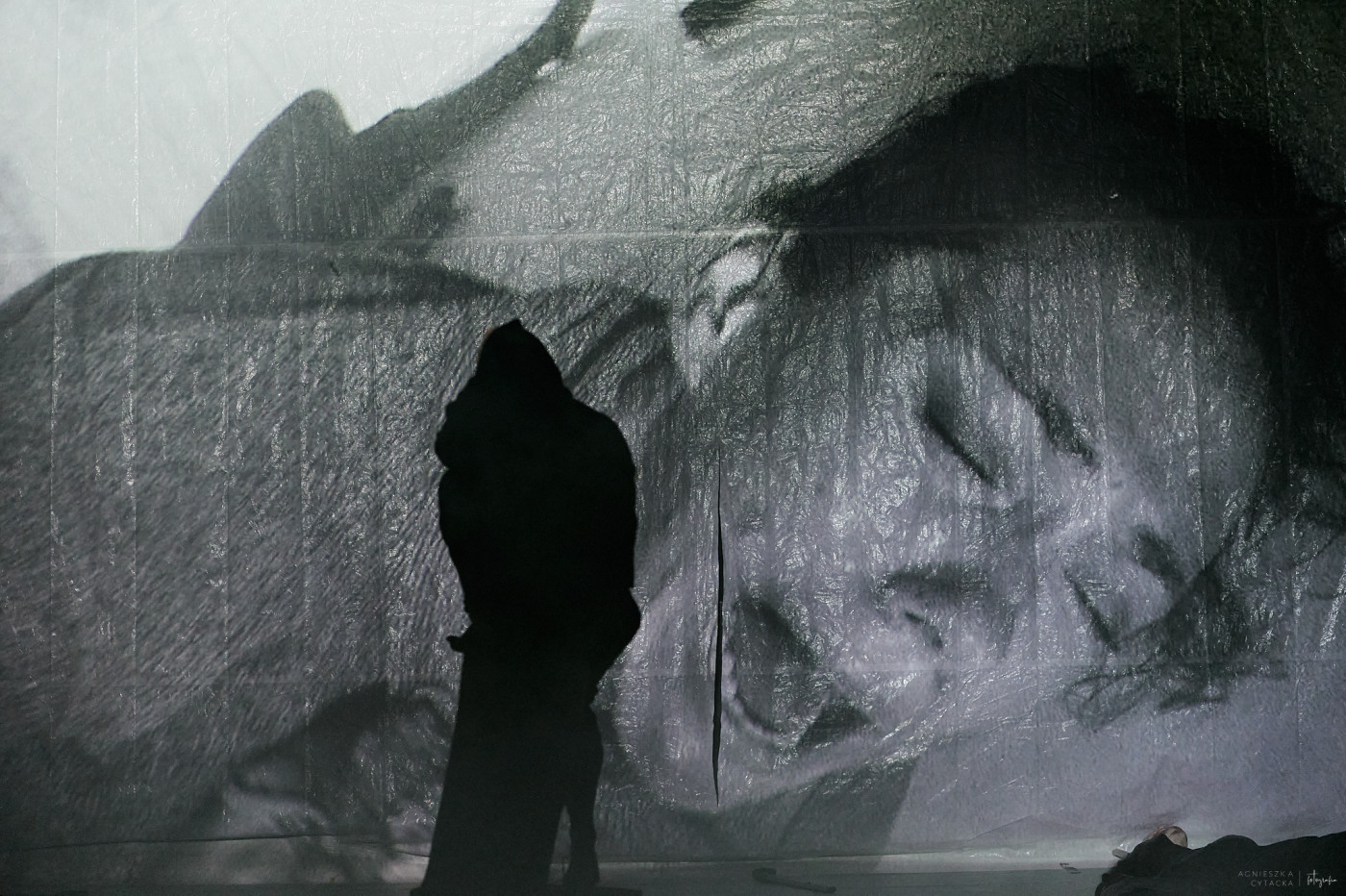 retroperspektywy, śmierć na gruszy, fot. agnieszka cytacka (121)