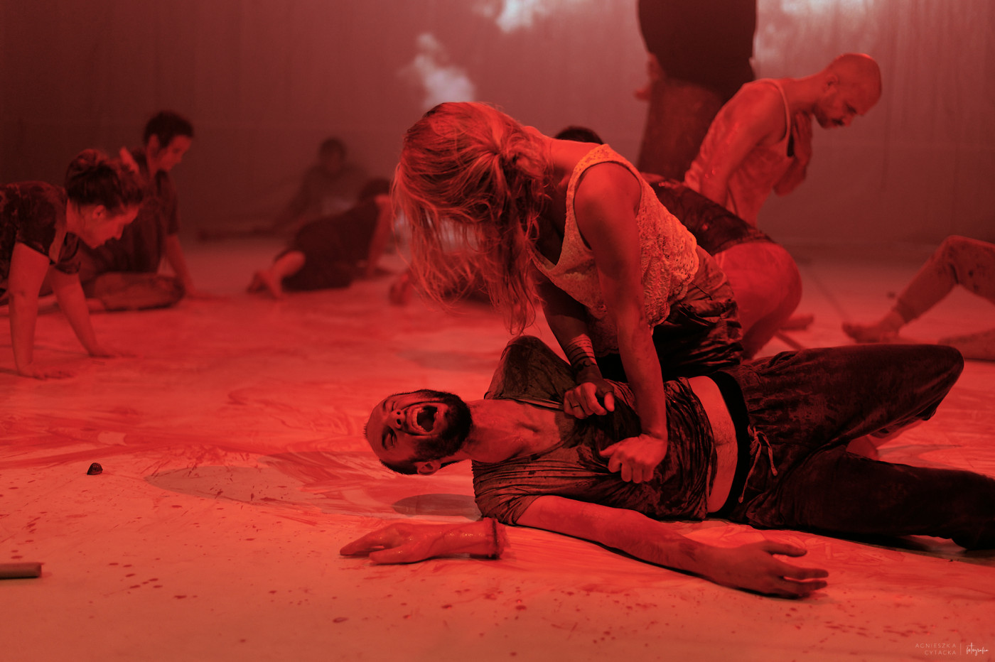 retroperspektywy, śmierć na gruszy, fot. agnieszka cytacka (129)