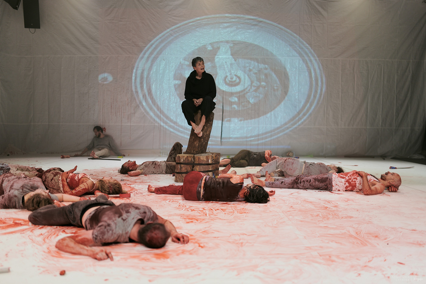 retroperspektywy, śmierć na gruszy, fot. agnieszka cytacka (133)