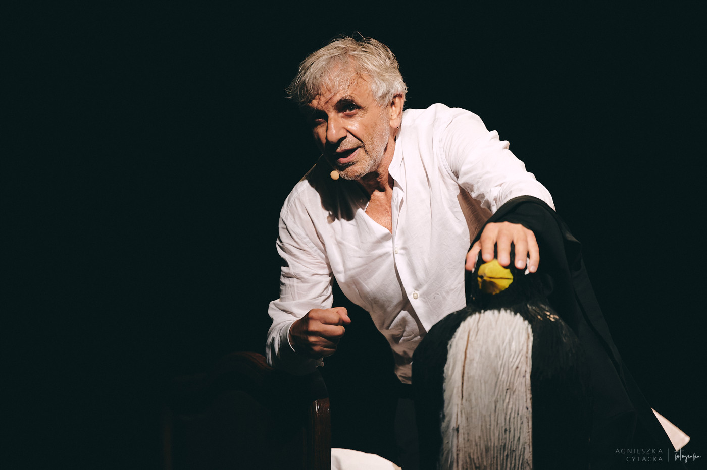 rps, 18.08.23, księgi niepokoju, fot. agnieszka cytacka ACF 2878